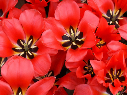 430536 (a): :1600x1200